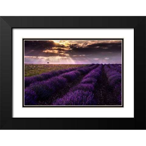 Between Flowers Black Modern Wood Framed Art Print with Double Matting by Concepcion Alvarado, Jesus