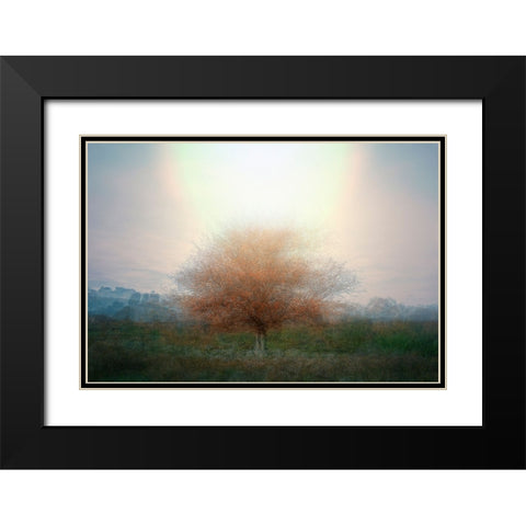 Mirage Black Modern Wood Framed Art Print with Double Matting by Holmstrom, Katarina