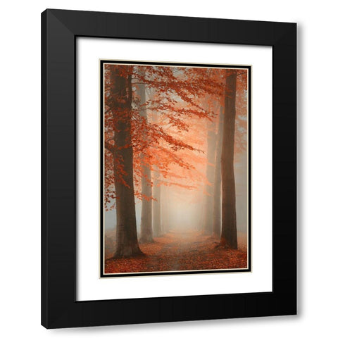 Autumn Dream Black Modern Wood Framed Art Print with Double Matting by Dingemans, Saskia