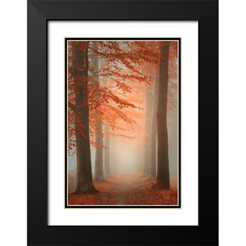 Autumn Dream Black Modern Wood Framed Art Print with Double Matting by Dingemans, Saskia