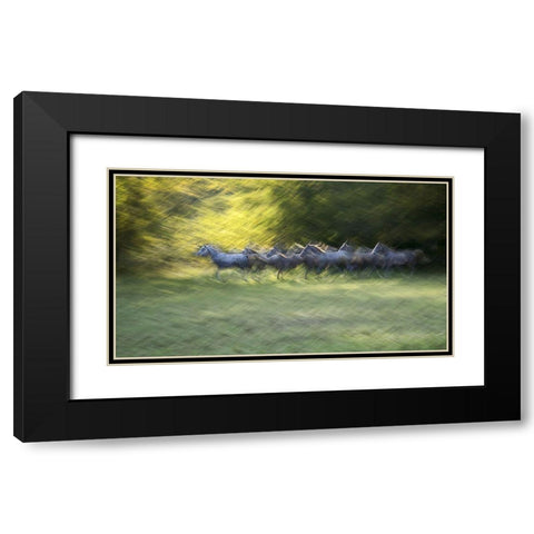 Autumn Time Black Modern Wood Framed Art Print with Double Matting by Malovrh, Milan