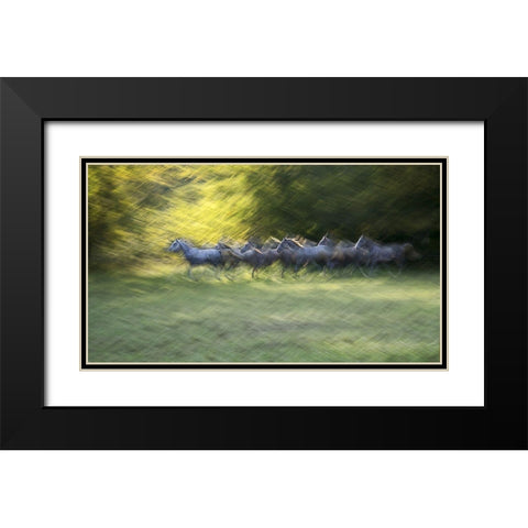 Autumn Time Black Modern Wood Framed Art Print with Double Matting by Malovrh, Milan