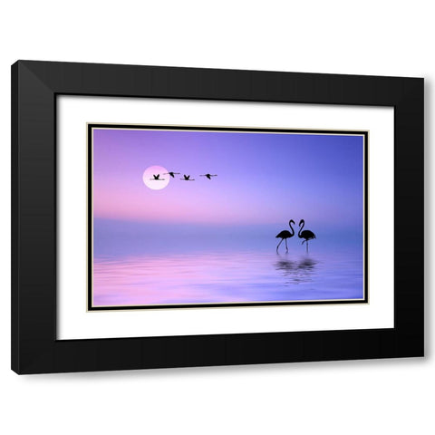 Flying Flamingo Black Modern Wood Framed Art Print with Double Matting by Hamiti, Bess