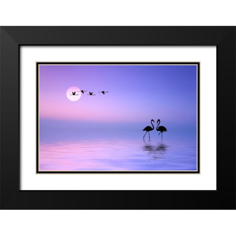 Flying Flamingo Black Modern Wood Framed Art Print with Double Matting by Hamiti, Bess