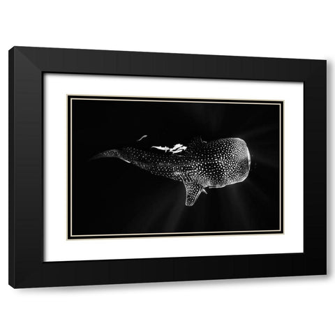 Black And Whale Shark Black Modern Wood Framed Art Print with Double Matting by Gabriel, Barathieu