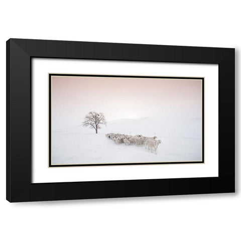 Flock Looking For Food Black Modern Wood Framed Art Print with Double Matting by Z, Bingo