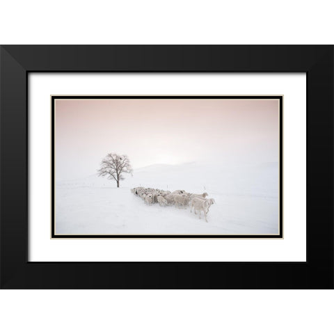 Flock Looking For Food Black Modern Wood Framed Art Print with Double Matting by Z, Bingo