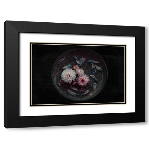 Dahlia On Their Last Black Modern Wood Framed Art Print with Double Matting by Schuster, Inge