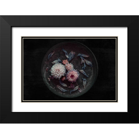 Dahlia On Their Last Black Modern Wood Framed Art Print with Double Matting by Schuster, Inge