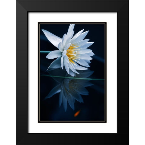 Reflecting World Black Modern Wood Framed Art Print with Double Matting by Suzuki, Takashi