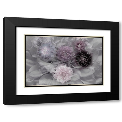 Dahlia Dream Black Modern Wood Framed Art Print with Double Matting by Schuster, Inge