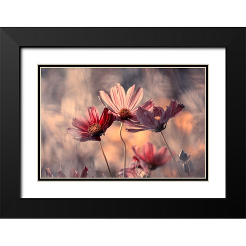 The Three Sisters Black Modern Wood Framed Art Print with Double Matting by Bravin, Fabien