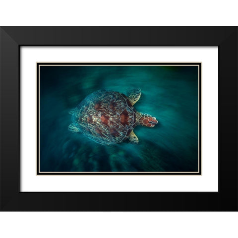 Vaclocity Turtle Black Modern Wood Framed Art Print with Double Matting by Gabriel, Barathieu