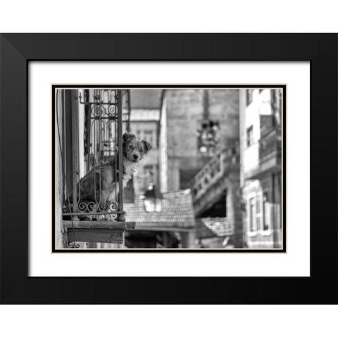 Untitled Black Modern Wood Framed Art Print with Double Matting by Carlos, KK