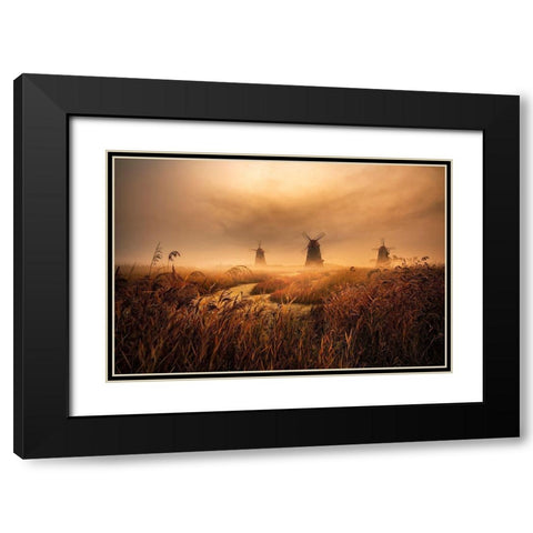 A Fascinating Morning Black Modern Wood Framed Art Print with Double Matting by Seo, Tiger
