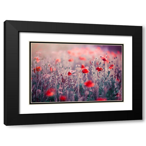 Poppy Meadow Black Modern Wood Framed Art Print with Double Matting by Parker, Jacky
