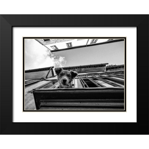 Untitled Black Modern Wood Framed Art Print with Double Matting by Carlos