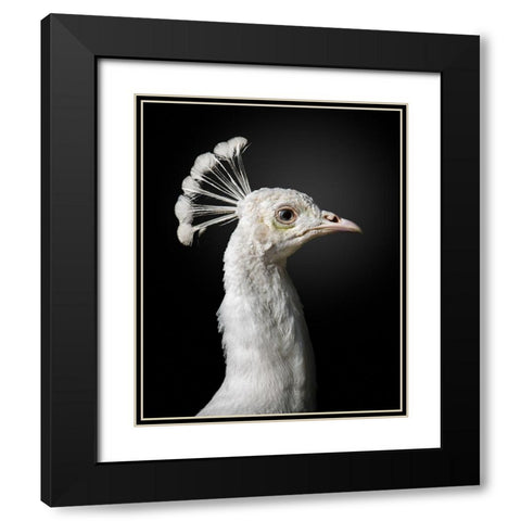 M A J E S T I C Black Modern Wood Framed Art Print with Double Matting by Fegari