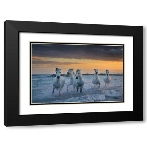 In The Waves Black Modern Wood Framed Art Print with Double Matting by Vekemans, Muriel