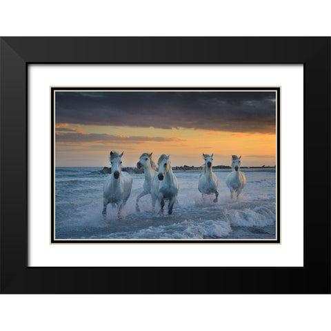 In The Waves Black Modern Wood Framed Art Print with Double Matting by Vekemans, Muriel
