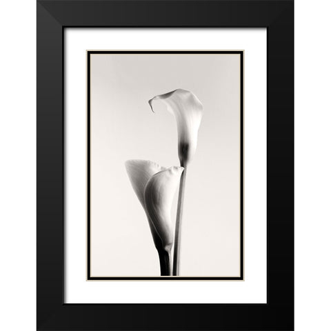 Calla Black Modern Wood Framed Art Print with Double Matting by Hanchevici, Calin