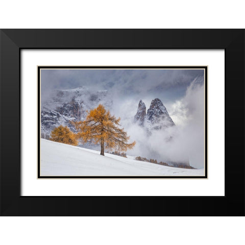Between Seasons Black Modern Wood Framed Art Print with Double Matting by Ioan Ovidiu, Lazar