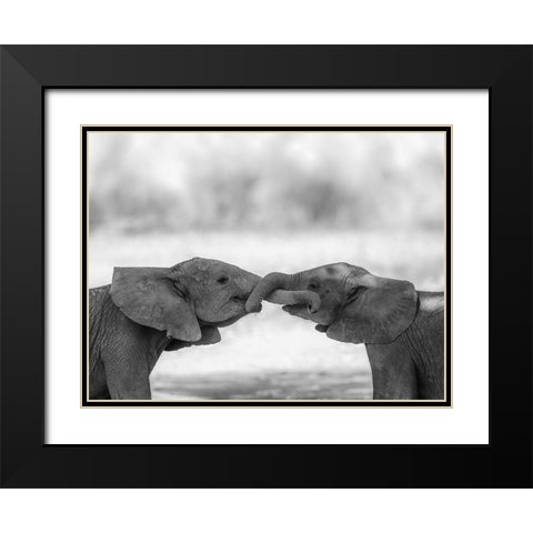 Greetings Black Modern Wood Framed Art Print with Double Matting by Marx, Jaco