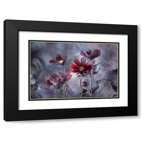 Cosmoslicious Black Modern Wood Framed Art Print with Double Matting by Bravin, Fabien