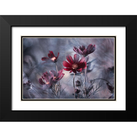 Cosmoslicious Black Modern Wood Framed Art Print with Double Matting by Bravin, Fabien