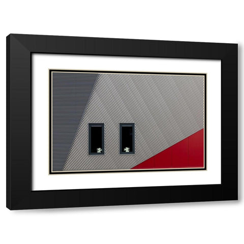 The White Lions Black Modern Wood Framed Art Print with Double Matting by Luycx, Theo