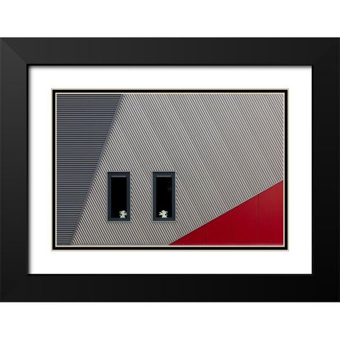 The White Lions Black Modern Wood Framed Art Print with Double Matting by Luycx, Theo