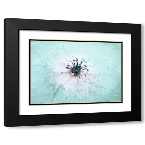Misty Blue Black Modern Wood Framed Art Print with Double Matting by Parker, Jacky