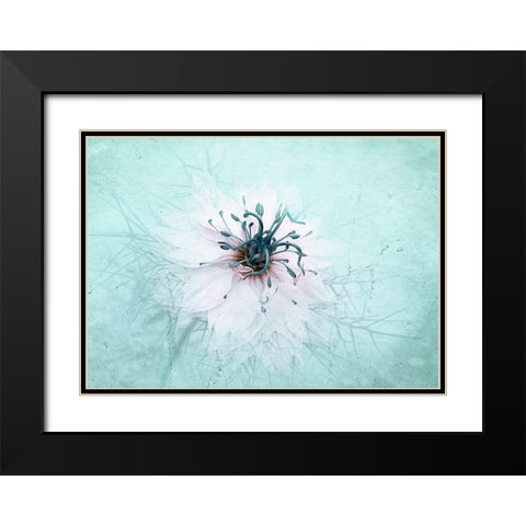 Misty Blue Black Modern Wood Framed Art Print with Double Matting by Parker, Jacky