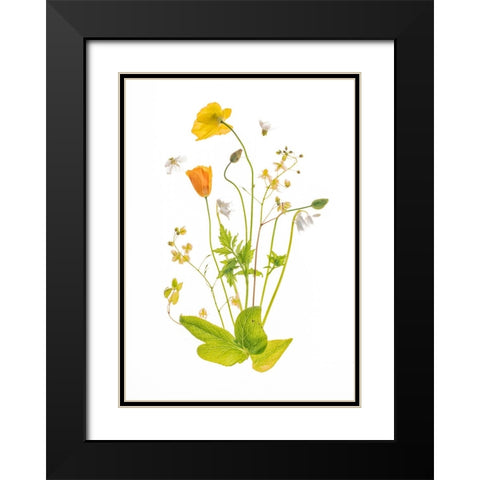 Fairy Garden Black Modern Wood Framed Art Print with Double Matting by Williams, Sharon