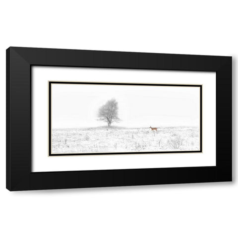 Christmas Coming Black Modern Wood Framed Art Print with Double Matting by Cheng, Yu
