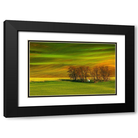 A Colorful Day Black Modern Wood Framed Art Print with Double Matting by Cantemir, Mandru