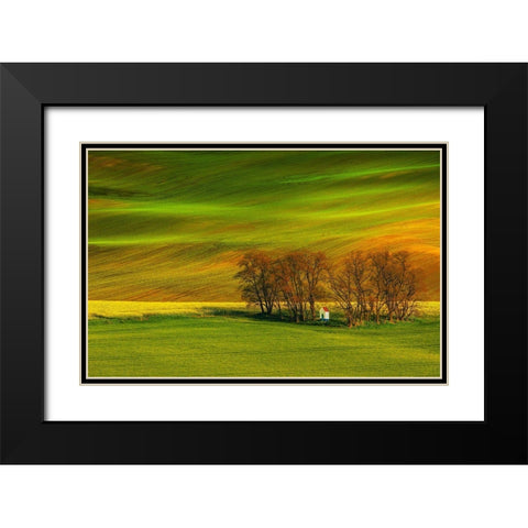 A Colorful Day Black Modern Wood Framed Art Print with Double Matting by Cantemir, Mandru