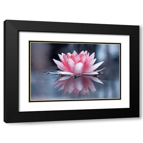 Padmasana Black Modern Wood Framed Art Print with Double Matting by Bravin, Fabien