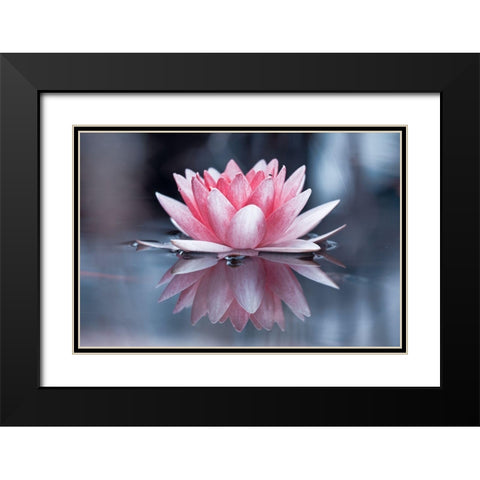 Padmasana Black Modern Wood Framed Art Print with Double Matting by Bravin, Fabien