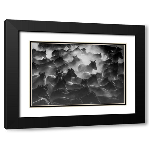 Horses 2 Black Modern Wood Framed Art Print with Double Matting by Nisan Kandilcioglu, Ummu
