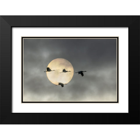 Over The Moon Black Modern Wood Framed Art Print with Double Matting by Fan, John