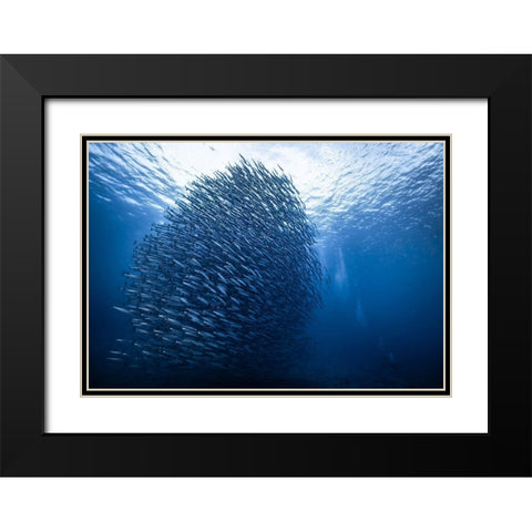 Mass Giant Black Modern Wood Framed Art Print with Double Matting by Choi, Yonghoon