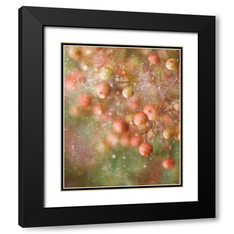 Winter-Time Black Modern Wood Framed Art Print with Double Matting by Devos, Delphine