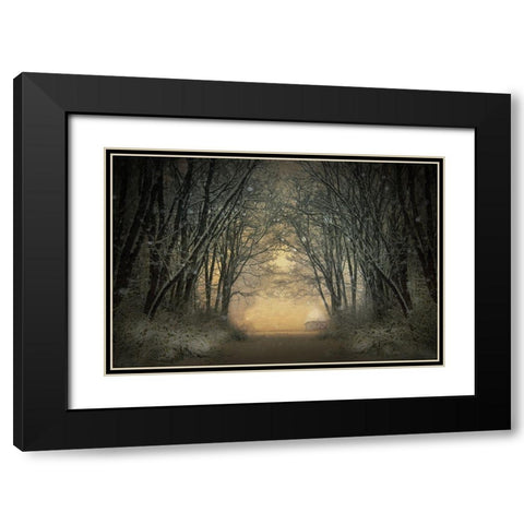 Winter Story Black Modern Wood Framed Art Print with Double Matting by Lia, Adela