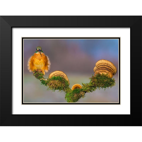 Buhtlin Black Modern Wood Framed Art Print with Double Matting by Sabol, Petar