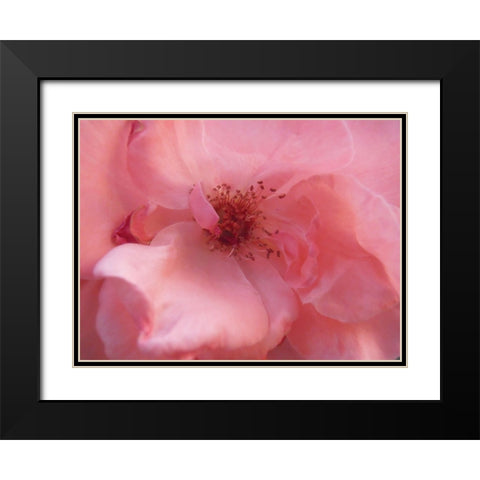 Lovely Pink Black Modern Wood Framed Art Print with Double Matting by Petrovic, Snezana