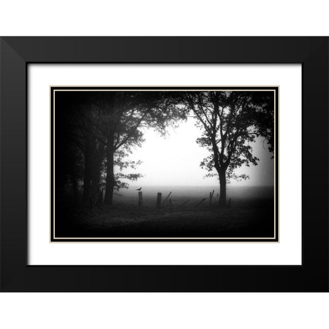 Early Bird Black Modern Wood Framed Art Print with Double Matting by Van Bijnen, Jacqueline
