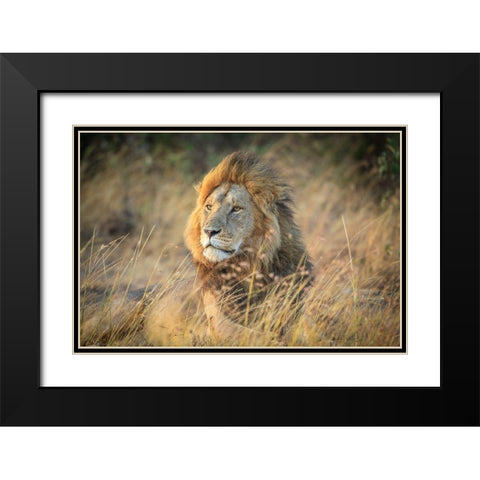 Blondie Black Modern Wood Framed Art Print with Double Matting by C. Sink, Jeffrey