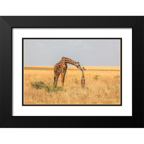 Newborn Black Modern Wood Framed Art Print with Double Matting by C. Sink, Jeffrey