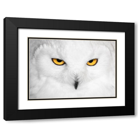 H Y P N O T I C S Black Modern Wood Framed Art Print with Double Matting by Fegari